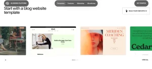 Blogging, Content Management, and SEO Tools