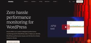 Kinsta APM Tool