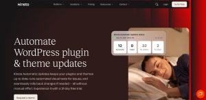 Kinsta Automatic Updates