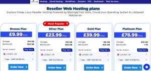 Reseller Hosting - Build Your Own Hosting Business