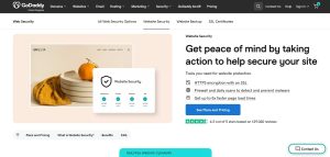 Security and Website Protection