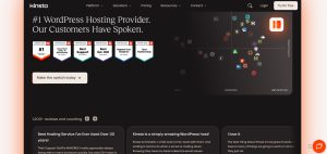 What Do Real Users Say About Kinsta Hosting