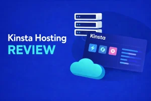 kinsta hosting review