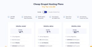 Drupal Hosting