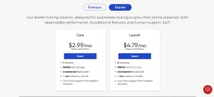 Shared Hosting - A Reliable Start for Small Websites