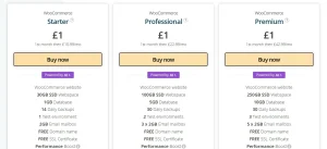 WooCommerce Hosting (Managed)