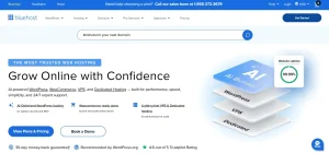 What Is Bluehost and Why Is It So Widely Used