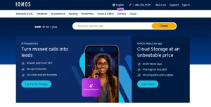 What is IONOS and Who Is It For