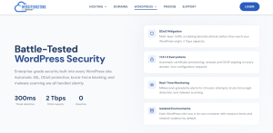 security in websitehosting.app